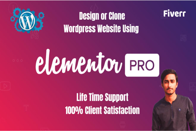 I will copy or clone professional wordpress website using elementor