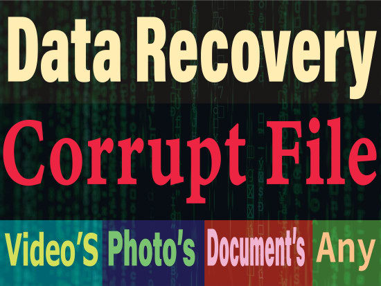 I will corrupt broken video, audio repair, data recovery