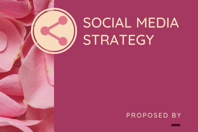 I will create a fully personalised social media marketing strategy