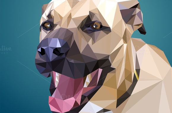 I will create a low poly illustration for you