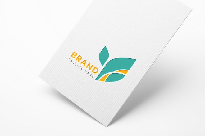 I will create a professional logo design