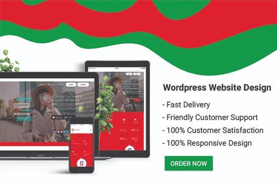 I will create a wordpress website or wordpress website design