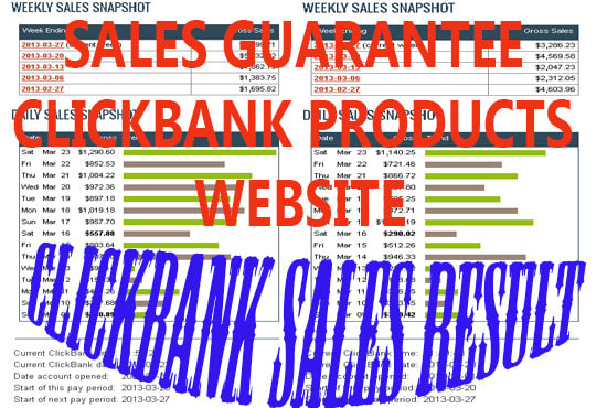 I will create clickbank affiliate website with traffic for generating sales