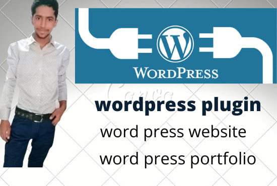 I will create custom plugin for word press