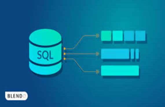 I will create database, erd, ddl and dml using sql and mysql server