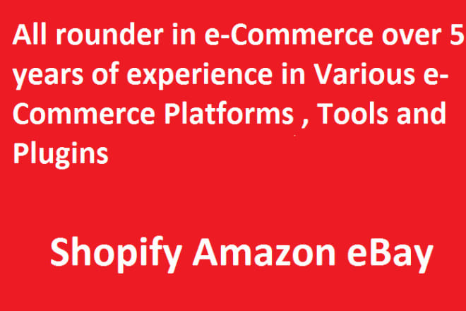 I will create ecommerce website maintain amazon ebay shopify store all rounder