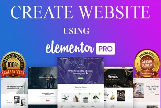 I will create or duplicate wordpress website using elementor pro