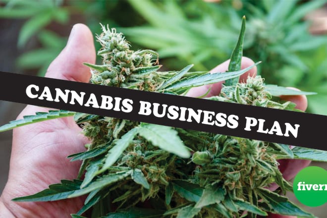I will create thc or cbd business plan, pitch deck, financial model, startup, proposal