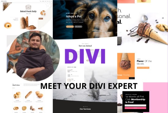 I will customize and create your website with divi