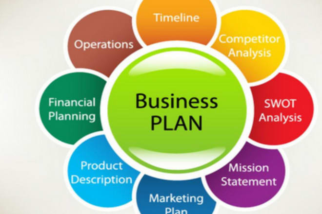 I will customize business plan and business proposal