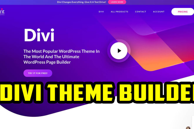 I will customize your divi theme within 1 day