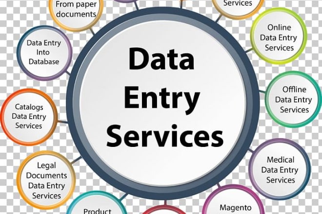 I will data entry specialist advance excel