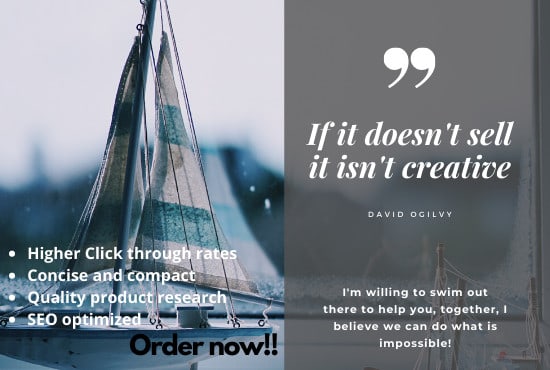 I will deliver professional copywriting for your website