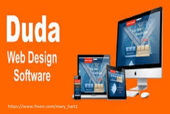 I will design a professional website using the duda website builder