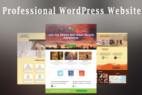 I will design a stunning wordpress website or blog for you