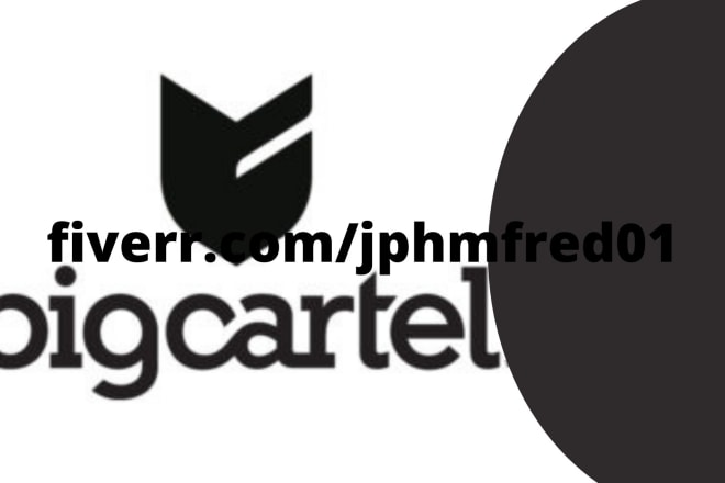 I will design and promote a responsive big cartel website