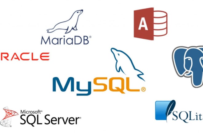 I will design erd sql database queries java python script programming project developer