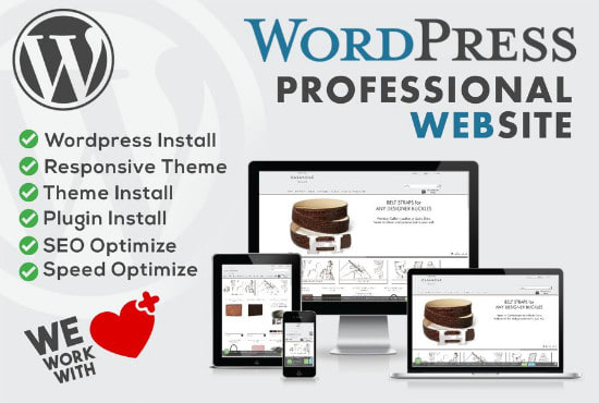 I will design or clone fully responsive word press website in 1 day