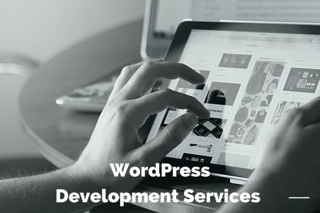 I will develop a wordpress website, design, redesign and much more