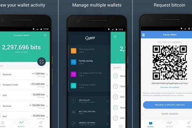 I will develop cash app, transaction app, wallet app, loan app, money transfer app