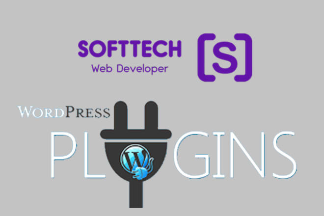 I will develop customize wordpress plugin