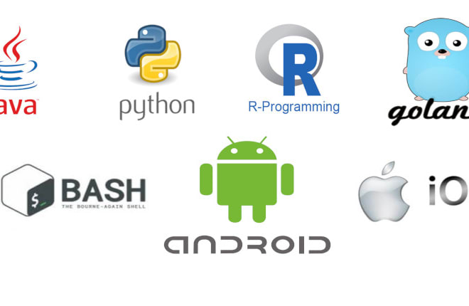 I will develop in java, python, shell, r, go programming