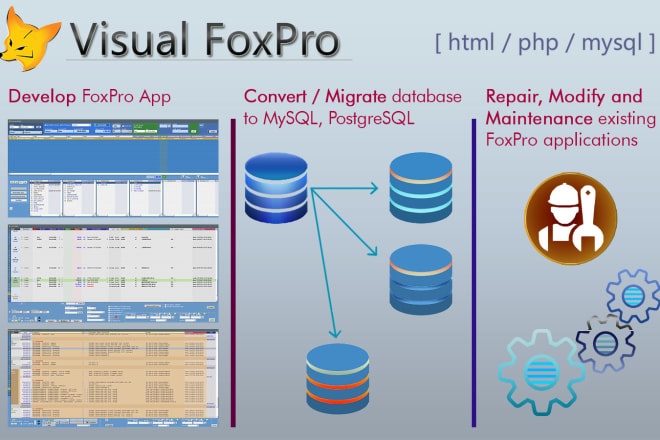 I will develop, maintain, migrate, connect foxpro app to other dbs