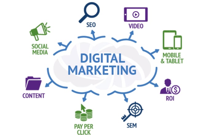 I will digitally market your business on social media and my site