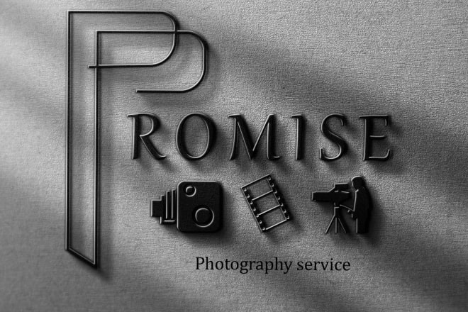 I will do 2 simple, professional, photography logo