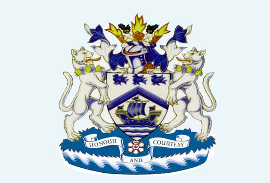 I will do a eye catching family crest coat of arms logo with always deliver on time