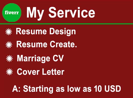 I will do a professional resume, CV and cover letter writer