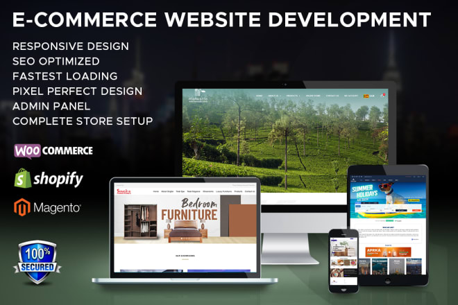 I will do a SEO friendly wordpress ecommerce website development