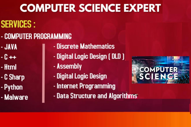 I will do all task related to computer science