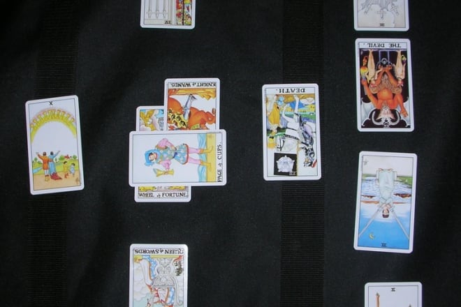 I will do an 11 card tarot reading for your pet