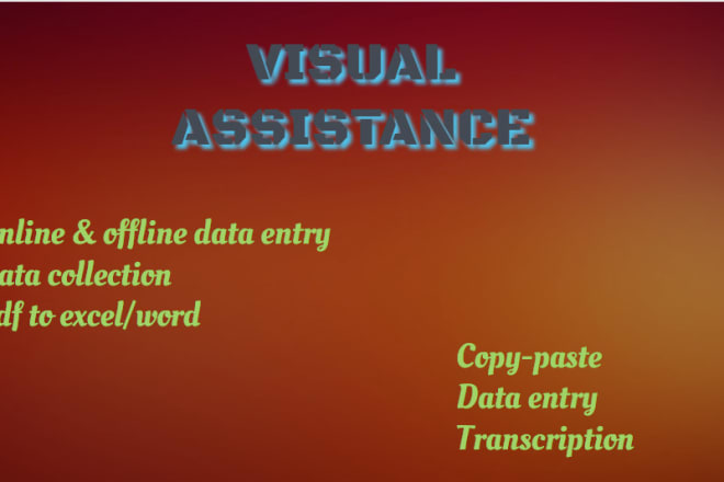 I will do any data entry, typing, transcription, ghostwriting, visual assistant