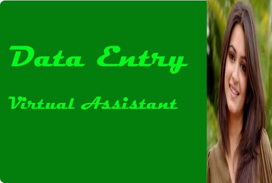 I will do data entry and virtual assistant