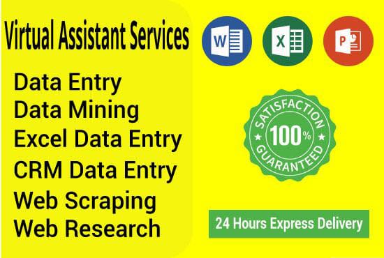I will do data entry, data mining, web research as a virtual assistant
