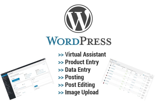 I will do data entry for wordpress, cms, woo or ecommerce