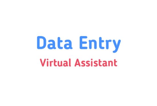 I will do data entry operator job