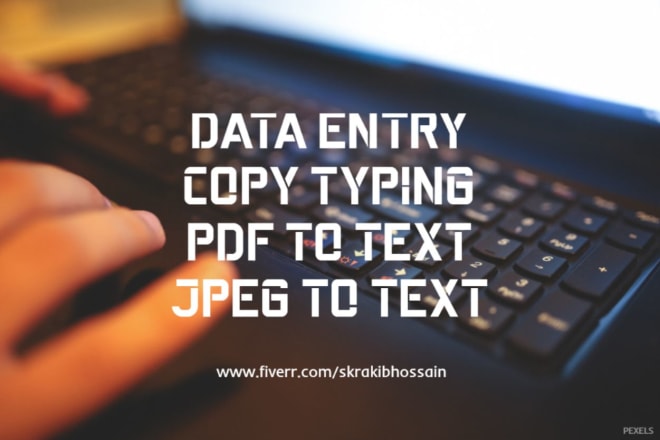 I will do data entry, pdf to text, copy typing