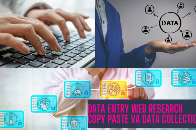 I will do data entry web research copy paste VA data collection