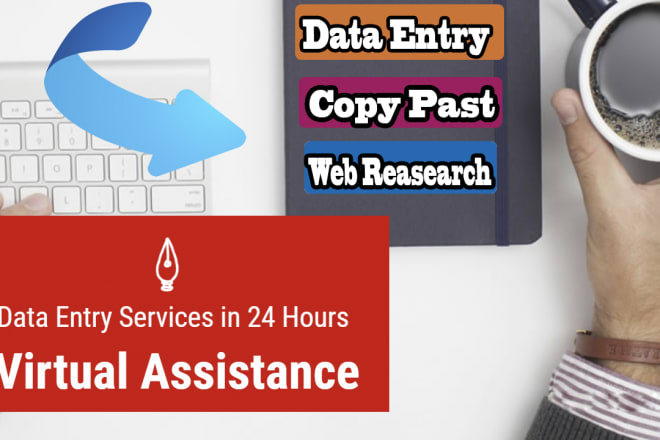 I will do data entry work or virtual assistant