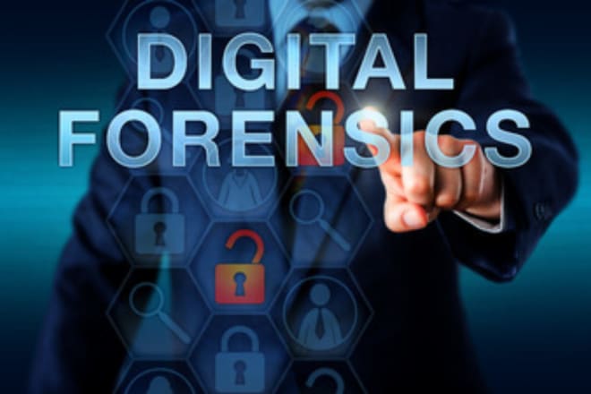 I will do digital forensic analysis and provide a detailed report