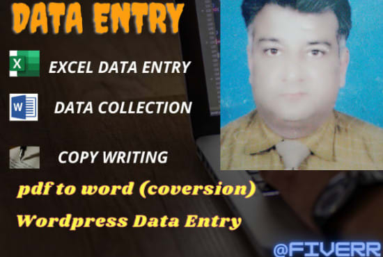 I will do excel data entry, data collection, copy paste job, typing work