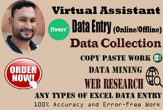 I will do excel data entry,web research and admin support work