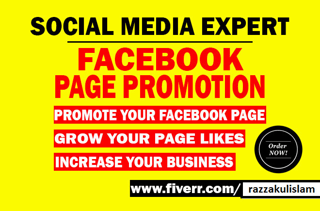 I will do facebook promotion in USA others country 1 to 5 million