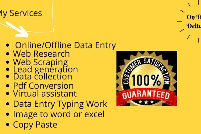 I will do fastest, professional data entry 12 hours in low price