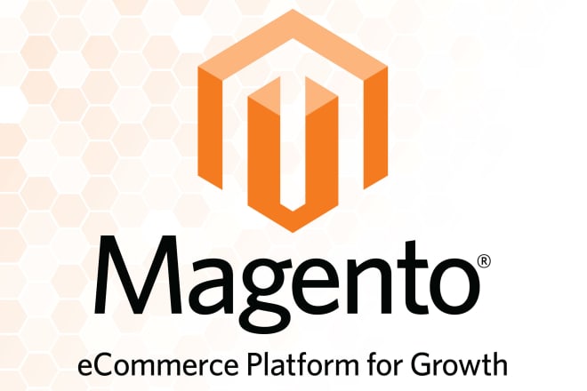 I will do fix your magento issues