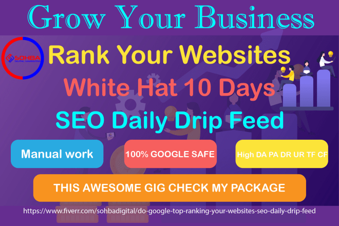 I will do google top ranking your websites seo daily drip feed