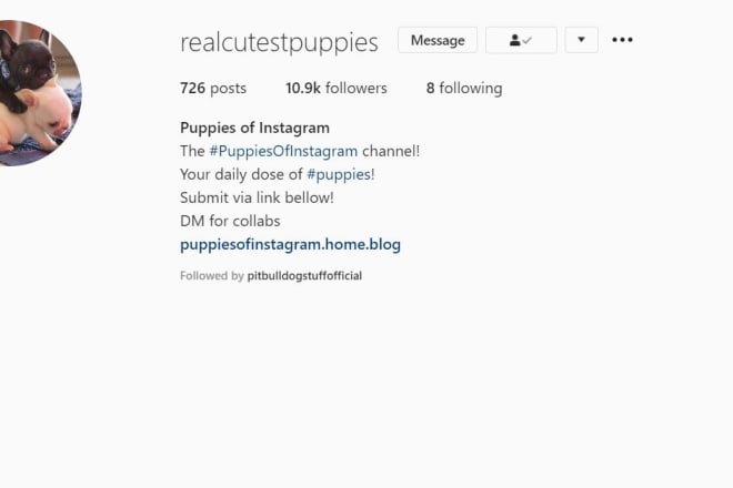 I will do instagram shoutout on a 10k puppies page